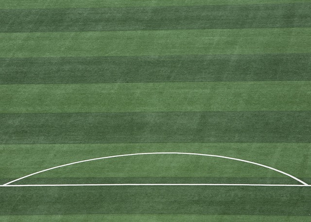 面对国王 面对国王