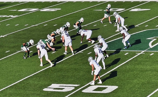 整个世界杯 整个世界杯