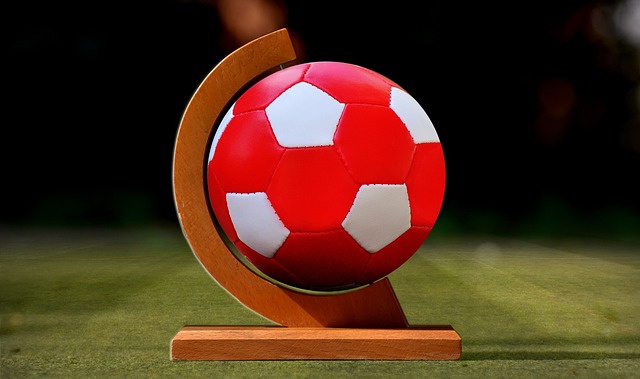 本赛季的投 本赛季的投