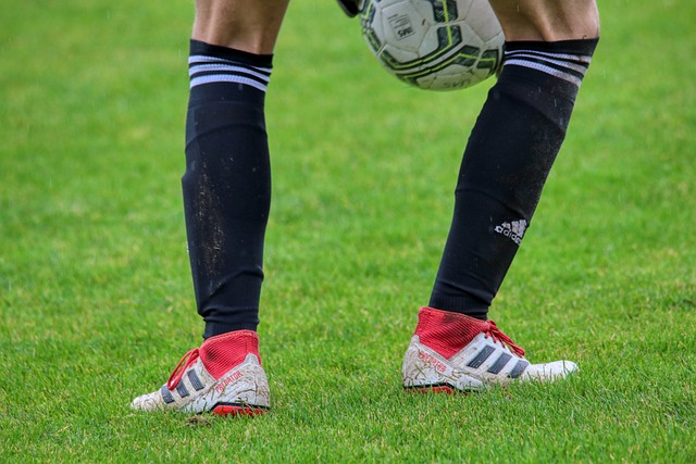 辅助阵容 辅助阵容