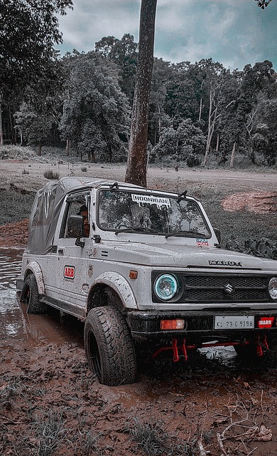 队在未来数 队在未来数