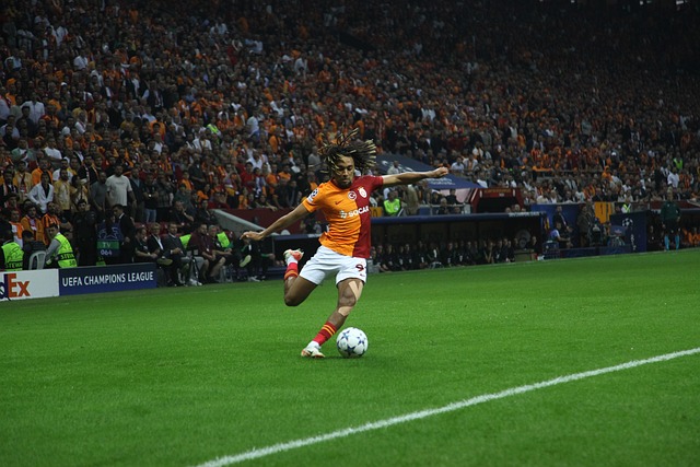 这不仅减轻 这不仅减轻